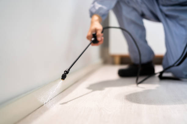 Bed Bug Pre-Treatment Preparation Assessment in Andalusia