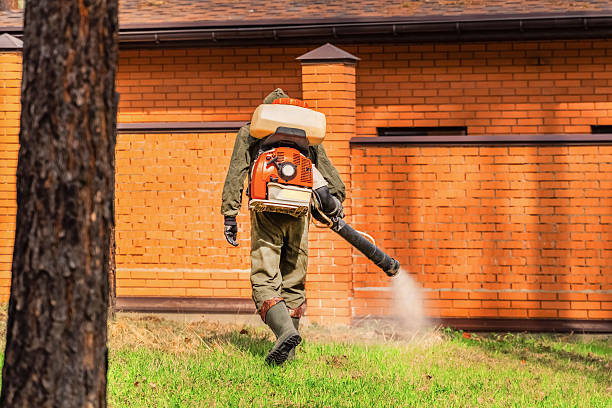 Bed Bug Clearance Verification and Documentation in Andalusia
